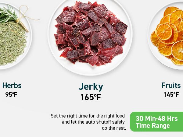 COSORI Food Dehydrator for Jerky, 600W, 6 Stainless Steel Trays, 48H Timer, 165°F Control, 6.48ft² Drying Space, Herbs, Meat, Fruit, and Yogurt