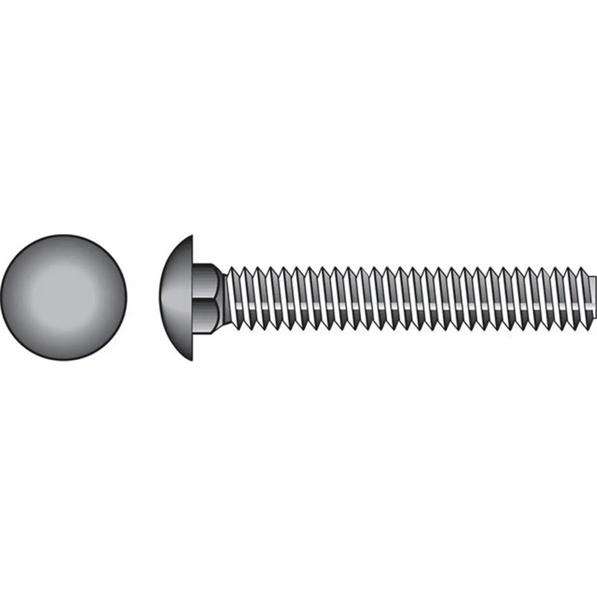 Hillman 0832562 Stainless Steel Carriage Bolt, 0.31 x 1 in., Mechanical Fixings