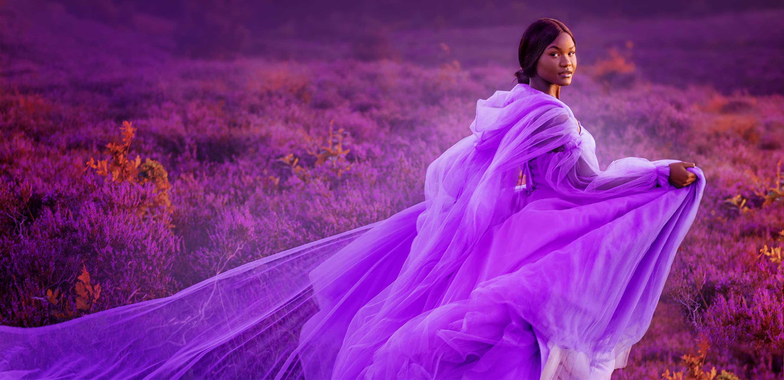 Pheromone Discovery Set