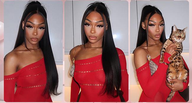 【Lemoda Outlets Deals】Lemoda Outlet Deals 13x4 Straight Lace Front Wigs Human Hair 200% Density Straight HD Transparent Lace Human Hair Wigs for Women Glueless Black Wigs Virgin 12A Straight Hair Bone Wigs Pre Plucked