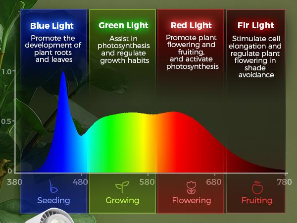 Barrina TR40a Track Grow Light for Indoor Plants, 40W Hanging Grow Lights with Adjustable Beam Angle (15°-60°), 5000K Full Spectrum Wall-Mounted Plant Light with Timer for Growing Houseplants,1-Pack