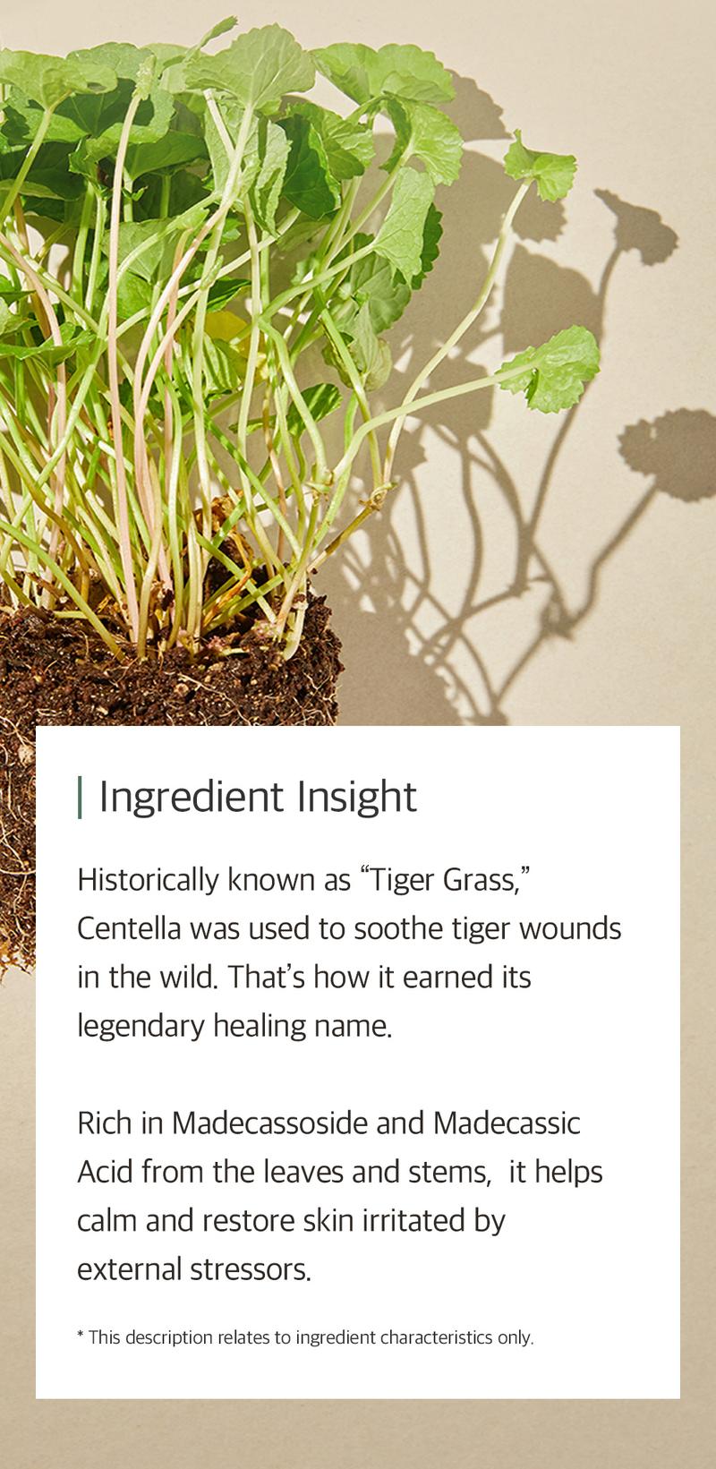 [mixsoon Official Shop] Centella Cleansing Foam Trio (5.07 fl.oz / 150ml x 3) - Low pH cleansing foam for soothing and moisturization, Korean Glass Skin Care