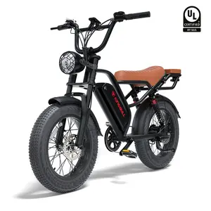 Kingbull Ranger | Vintage Off-Road Electric Bike