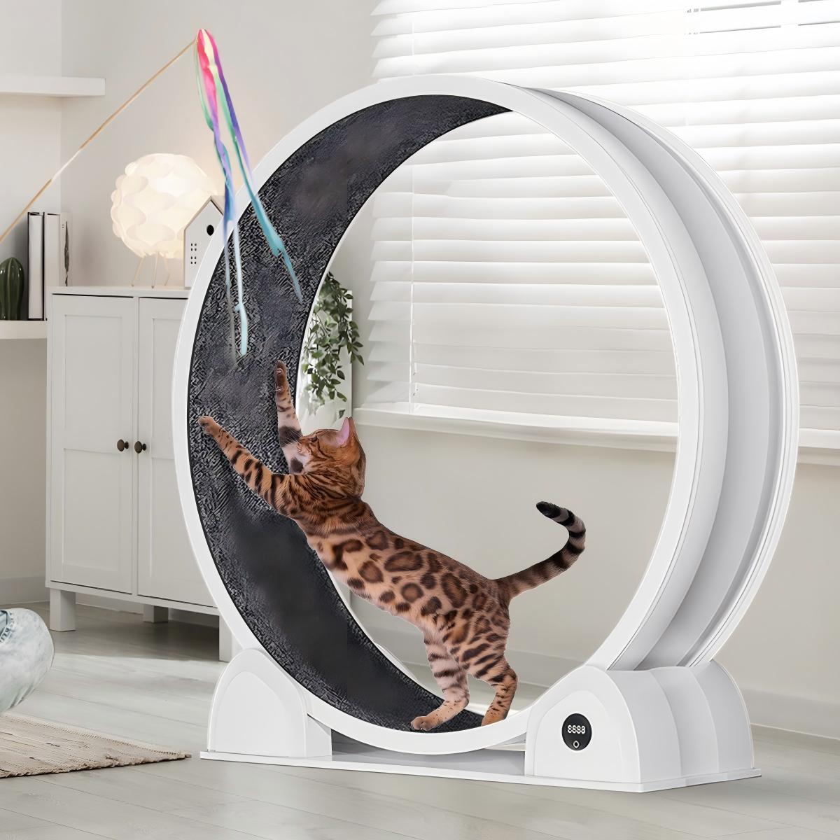 Cat Exercise Wheel for Indoor Cats - Large 114cm Super Quiet Running Wheel with Pedometer & Removable Mat | Treadmill for Fitness, Weight Loss, Training & Health | ABS Plastic Cat Trolley Design