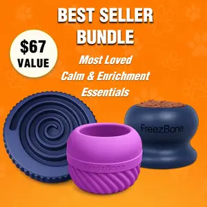 Best Seller Bundle