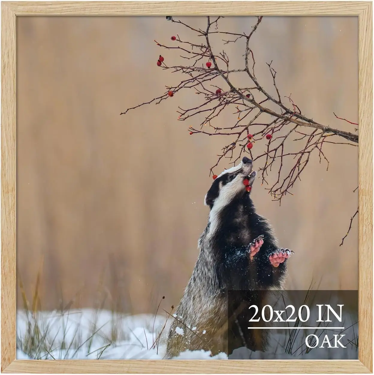 20x20 Oak Wood Poster Frame, Natural Solid Wood Picture Frame| Polished smooth surface, minimalist design.Easy wall mount, sturdy lightweight, matches all room styles for art display