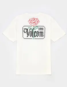VOLCOM Pleasantry Mens Tee