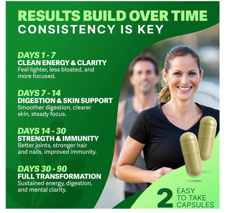 6 Pack of Rosabella Moringa Capsules (800mg) for Immune Support, Gut Health & Vitamins