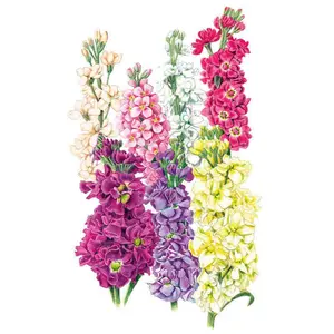 Column Blend Stock Seeds