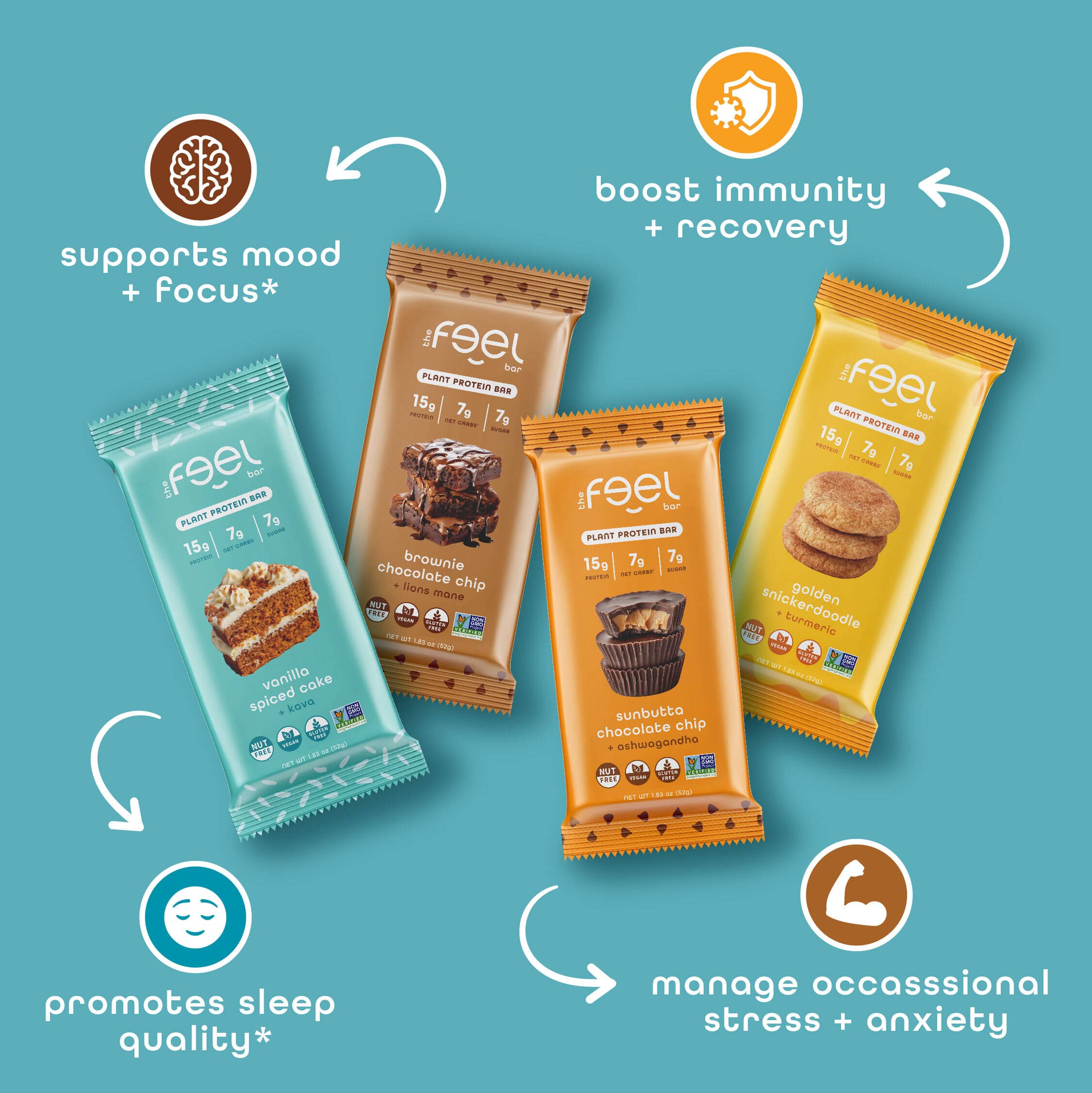 Feel Bars – Vegan Protein Bars | Mint Chocolate Chip – 10 Pack | 15g Plant Protein | Chaga Mushroom | Keto | Organic | Gluten Free, No Nuts, No Soy, No Dairy, No Grains