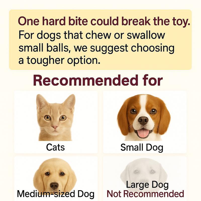 Interactive USB Rechargeable Ball Toy for Cats & Dogs, On-Rug Design with Bird Chirping Sound, Anti-Depression Pet Toy, Fun Gift for Dogs & Cats-Cat & Dog Interactive USB Rechargeable Ball Toy on Rug, Bird Chirping Sound, Anti-Depression