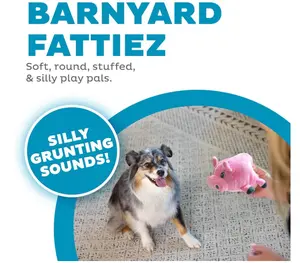 Outward Hound Fattiez Pig Plush Squeaky Dog Toy, Small