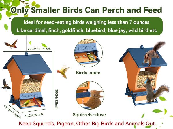 Squirrel-Proof Bird Feeder Wildpark petlovers – Bright Orange, Backyard Feeder for Cardinals & Chickadees, Durable & Easy to Hang, Perfect Spring Gift for Nature Lovers