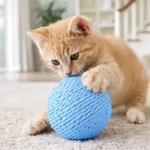 Sisal Cat Toy Ball – Durable Scratching & Play Toy