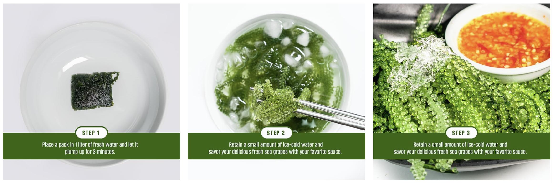 Longevity Dehydrated Sea Grapes 6 Packs of 4.23 oz Green Caviar Umibudo Latok Seaweed Organic Premium Quality Crunchy Flavor Superfood From The Ocean