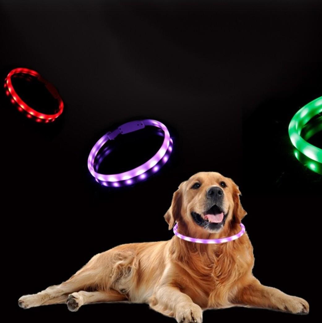 Night Safety Flashing Glow Pet Dog Collar