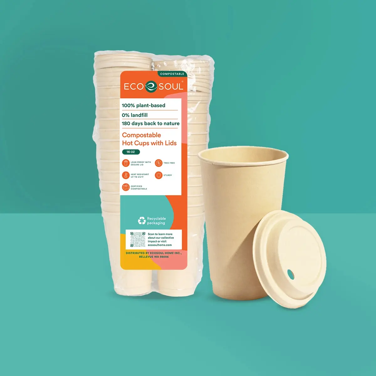 16oz Compostable Hot Coffee Cups with Lid 16oz Compostable Hot Coffee Cups with Lid