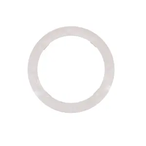 Pentair 590105Z Color Ring Colorvision LED Light Bubbler White