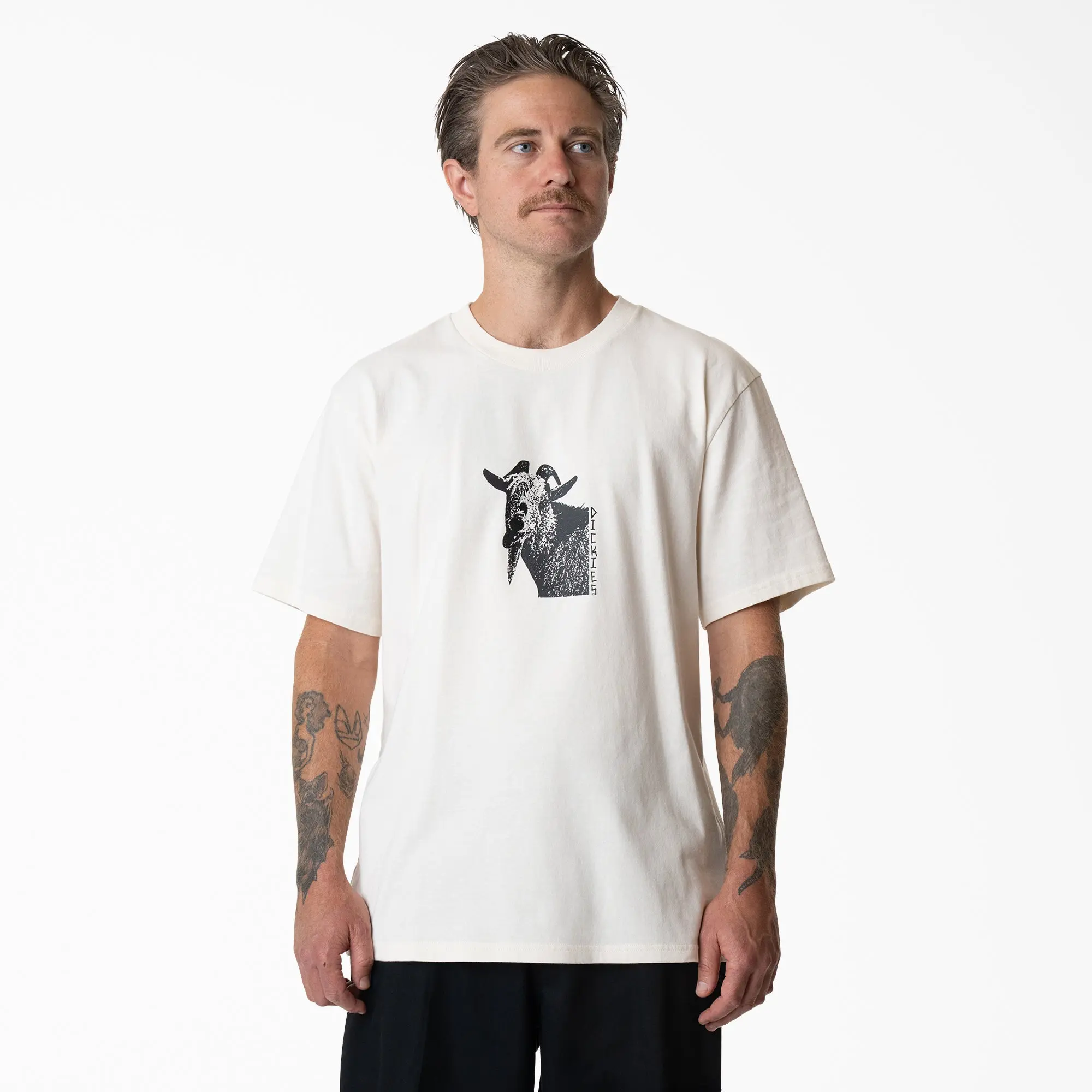 Dickies Mike Anderson Graphic T-Shirt,100% Cotton,Relaxed Fit,Skate Streetwear
