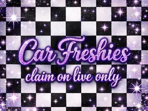 Car Freshie Car Freshie