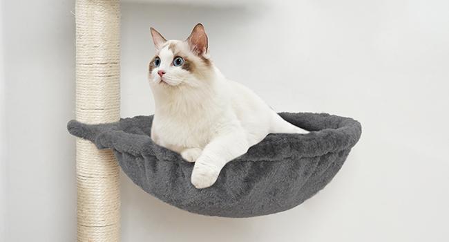 HOOBRO Cat Tree with Litter Box Enclosure, 67.7" H Wooden Multifunctional Pet Furniture with Hidden Litter Box, Perch, Hammock and Scratching Post, Cat Tower for Indoor Cats, Greige
