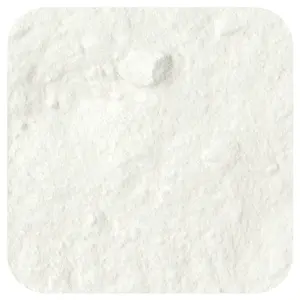 Frontier Co-op Baking Powder, 16 oz (453 g)