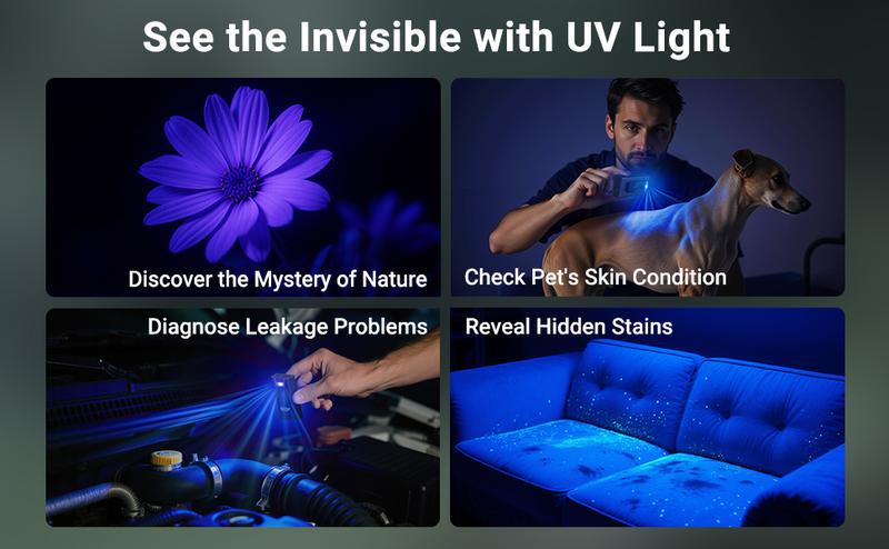 Rechargeable EDC Flashlight with UV, High Lumens Super Bright Mini Flashlight, Portable Flat Pocket Flashlights, Magnetic Keychain Flashlight for Outdoor Home Emergencies