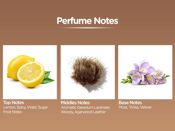 BellaVita Luxury’s White Oud Body Wash | Exotic Oud Shower Gel | Deep Clean & Moisture Lock with Aloe Vera | 500ml