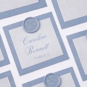 Custom Set of 25 Place Cards or Escort Cards in Vellum with Wax Seals for Elegant Wedding Table Decor