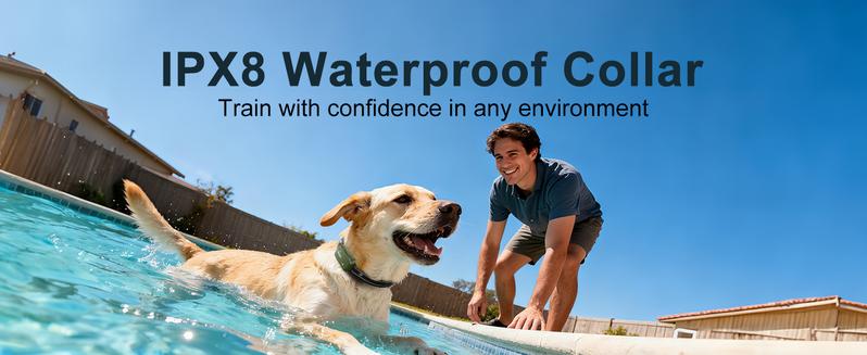 Jugbow Dog Training Collar - 4500FT Dog Shock Collar with Remote, 4 Training Modes, Security Lock, IPX8 Waterproof, Rechargeable e-Collar for All Breeds Barking Collar Pet Products DT61