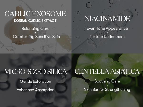 [VT Official] Garlic AC Reedle Shot Gel Cream / Spot Cream / Acne care, Reedle Shot Spot Care & Moisturizer, Garlic Exosome, Soothing & Calming, Blemish Care, Acne prone skin friendly