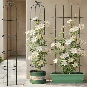 Garden Obelisk Trellis for Climbing Plants Rustproof Metal Pipe with Heavy Duty Plastic Coated Garden Outdoor Indoor Potted  big Plant Support for Clematis Vine Jasmine Support