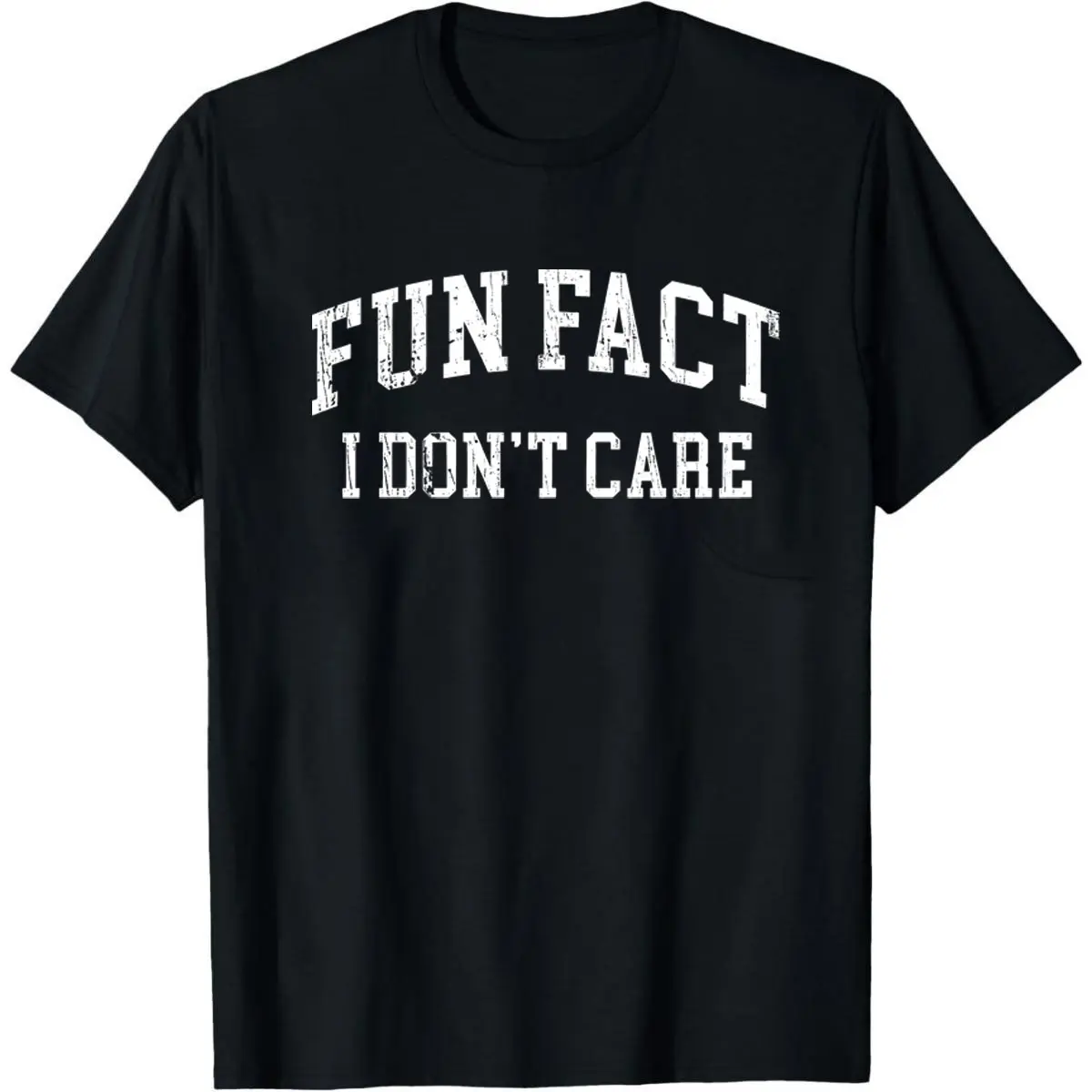 Fun Fact I Don't Care Sarcasm Sweatshirt, Sarcastic Sweater, Sassy Funny Shirt , Funny Graphic T-shirt, Sarcastic Funny Fun Fact Tee