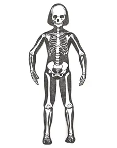 Articulated Skeleton Poseable Figure