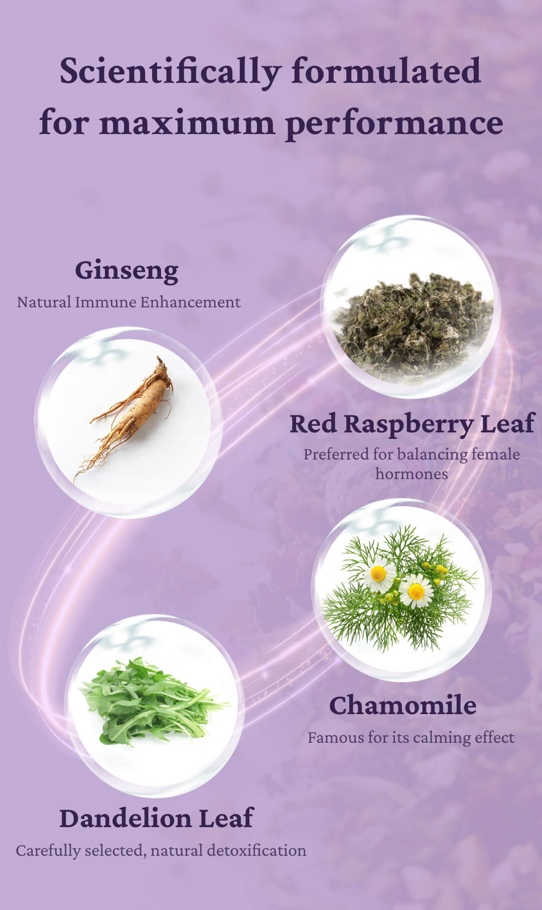 Hormone Balance Tea with 8 Organic Herbal Ingredients - Support Women's Overall Reproductive Health (PCOS, PMS, Menstrual Cycle) Ginseng Beverage