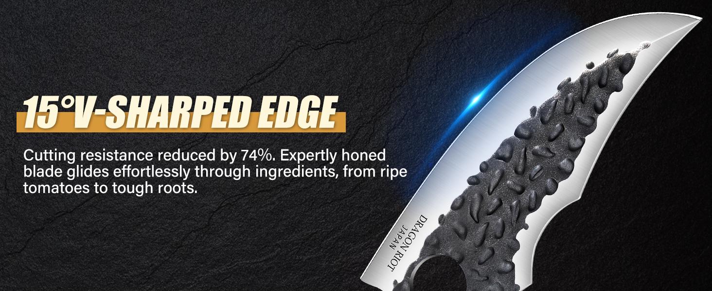 DRAGON RIOT for Meat Cutting, Forged Japanese Style Knife for Cooking - High Carbon and Full Tang - Must Have Knife for Kitchen and  Gift,Christmas Gift.