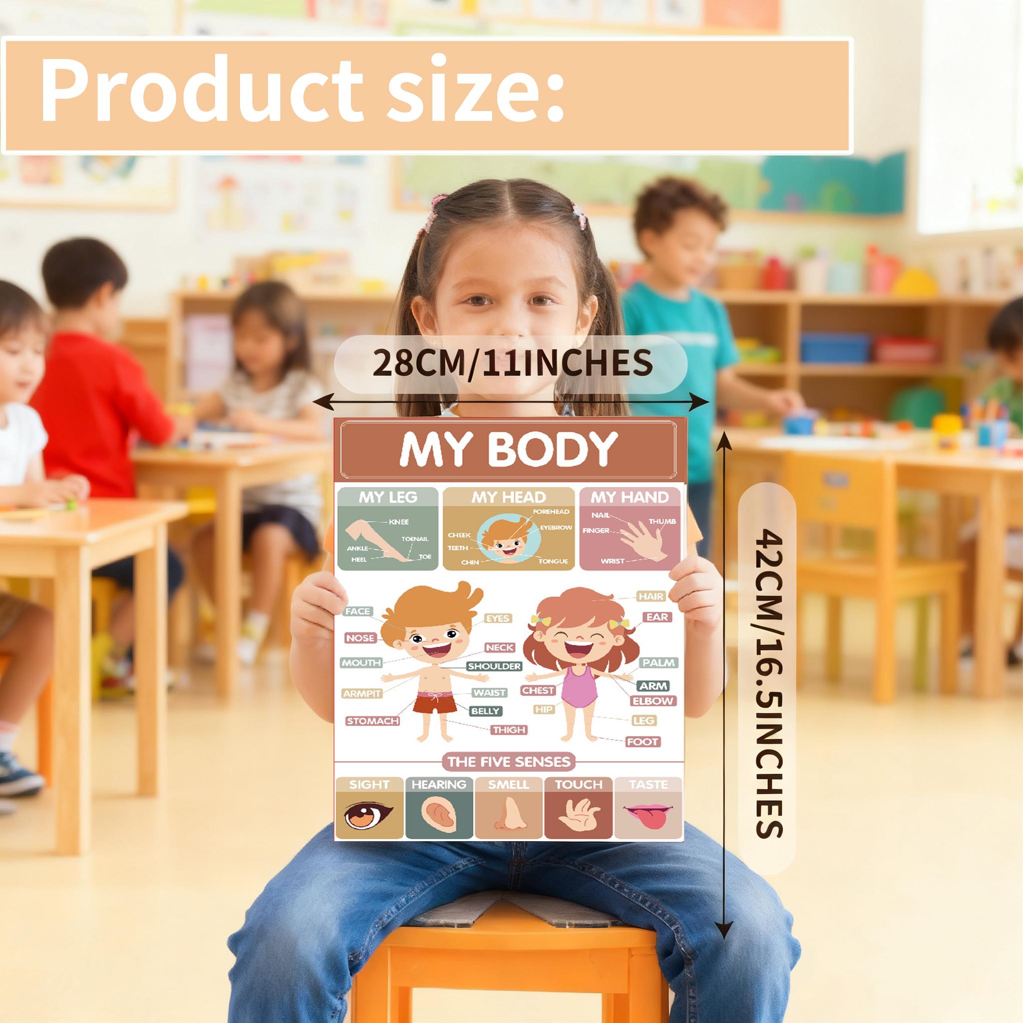 18 Modern Bohemian Educational Posters for Preschoolers Laminated Preschool and Kindergarten Learning Charts for Toddlers Homeschool Classroom Decorations for Children's Walls