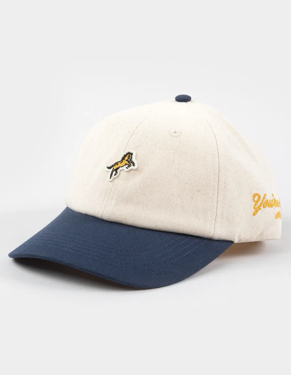 HEMLOCK HAT CO.  Mens Bozeman Dad Snapback Hat, Blue Combo