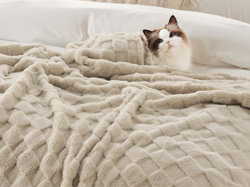 Bedsure Ultra Soft Cozy Microfiber Fleece Blanket for Couch Bed - Super Soft Plush Lambskin Blanket with Classic Plaid Pattern for Home Office Sofa Bed Room Accessories Travel Essentials