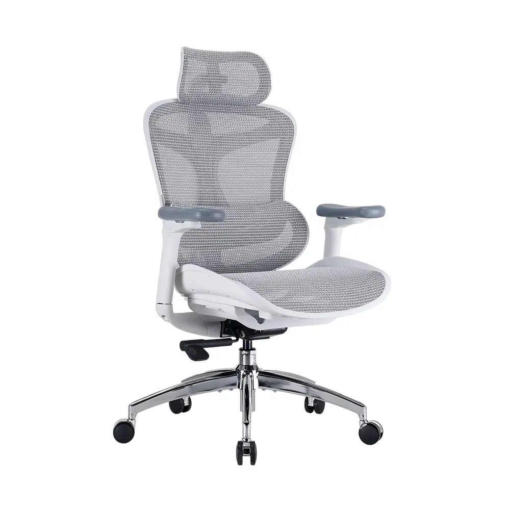 SIHOO Doro C300 Ergonomic Office Chair - Breathable Mesh Stays Cool, Cool All Day, All Seasons, Adaptive Lumbar Support, Fully Adjustable for Long Sitting, Work & Gaming