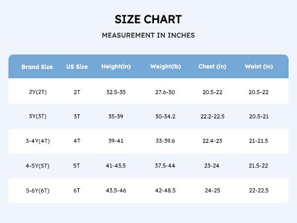 Disney Frozen Princess Girls 2-Piece Outfit Set Long Sleeve Sweatshirt & Leggings Fall Winter Kids Clothing Soft & Versatile