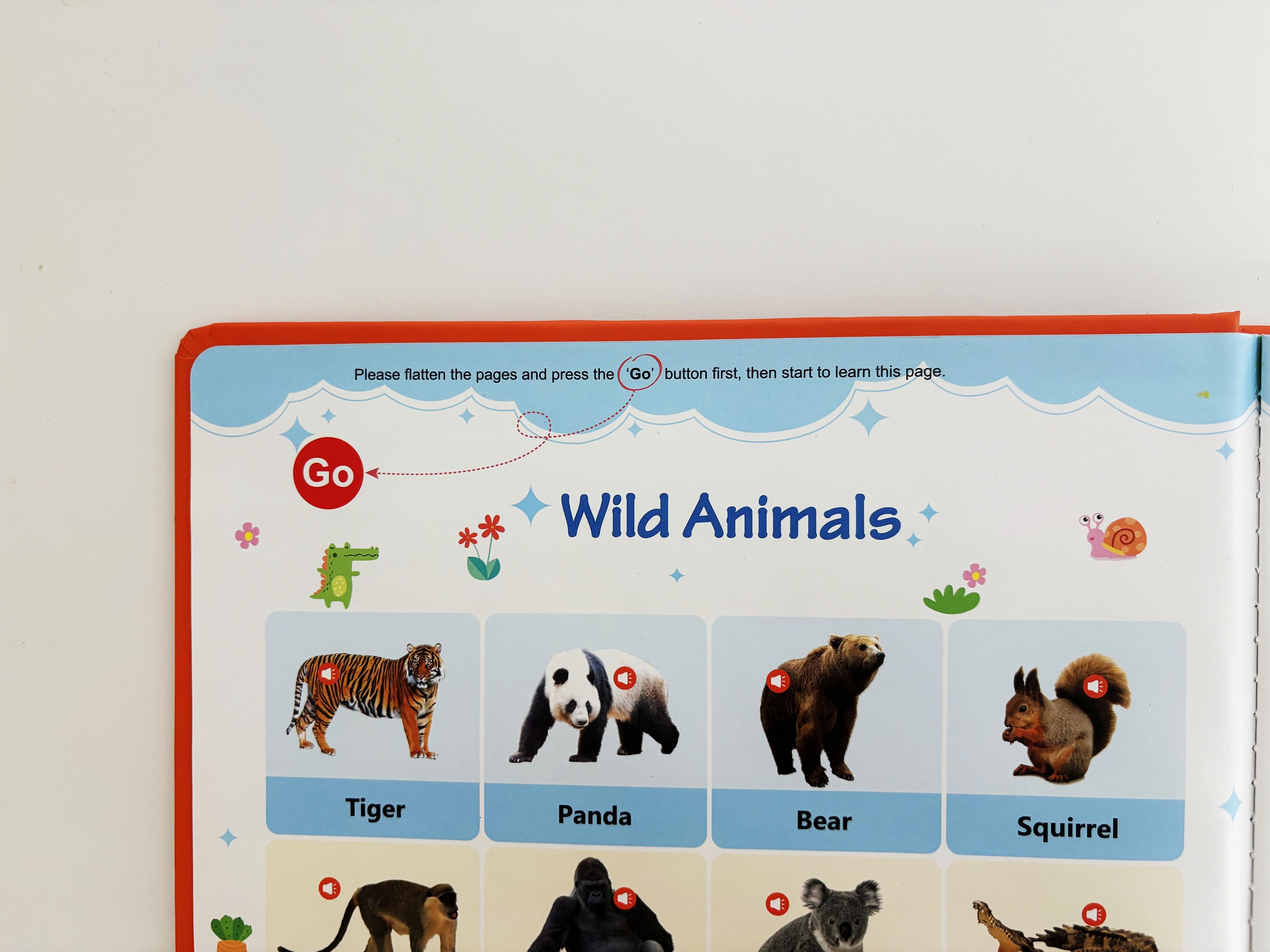 Educational Talking Sound Book – 470+ Words, 21 Themes, 6 Songs & Piano Keys | Perfect Gift for Kids Ages 3–9 | Fun & Interactive Learning Toy Colorful Car