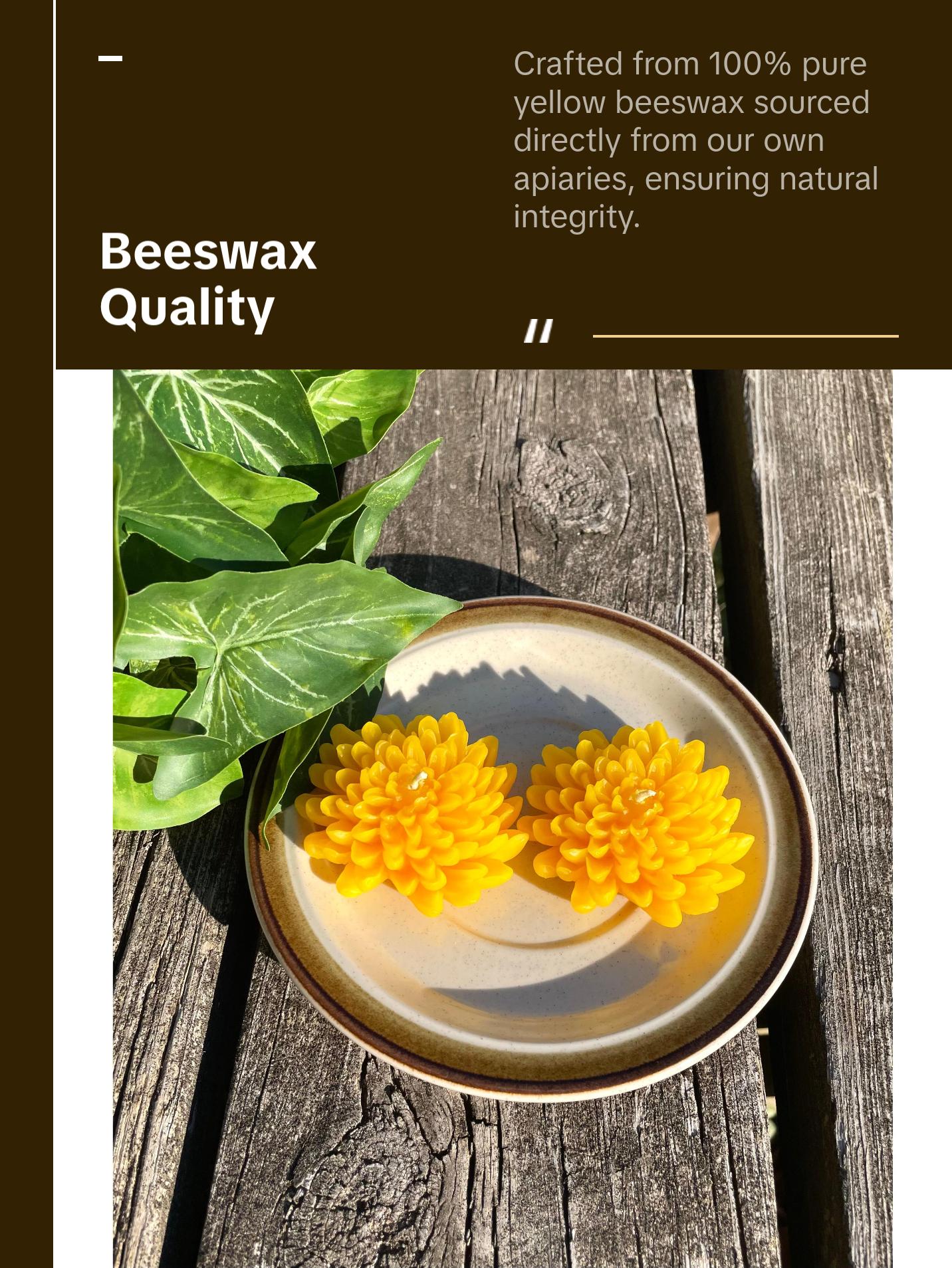 Set of 2 chrysanthemum candles - 100% pure beeswax - 2.5”
