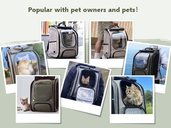 Pecute Cat Backpack Carrier Large Space Bubble Design for Travel Green Gray Khaki Ideal for Cat Lovers Animal Carrier