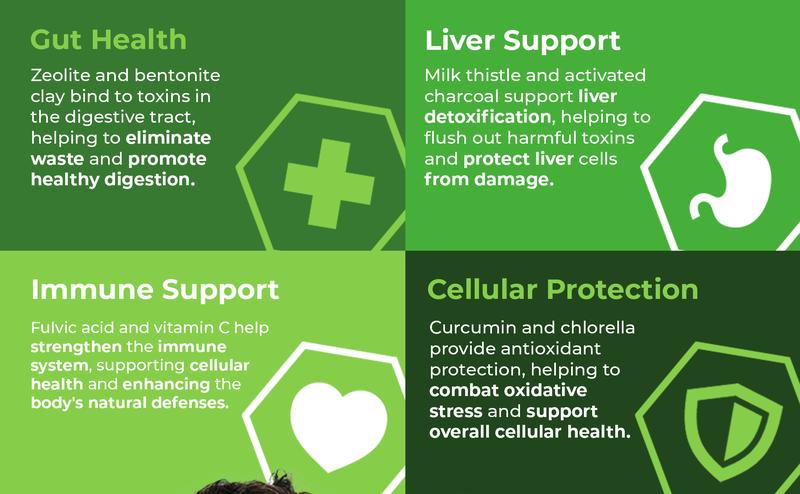 2300 MG Pure Zeolite Cleanse – Ultra-Fine Clinoptilolite Zeolite Detox, Activated Charcoal & Bentonite Clay – Liver & Gut Detox Cleanse, Toxin Flush, Digestive, Max Absorption, 90 Vegan Capsules