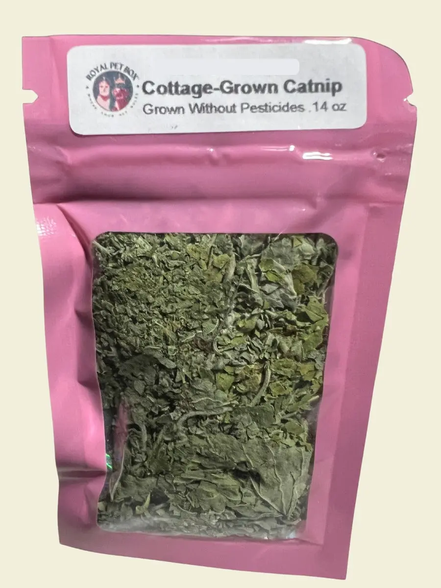 Organically Grown Catnip - Small Pouch Organically Grown Catnip - Small Pouch