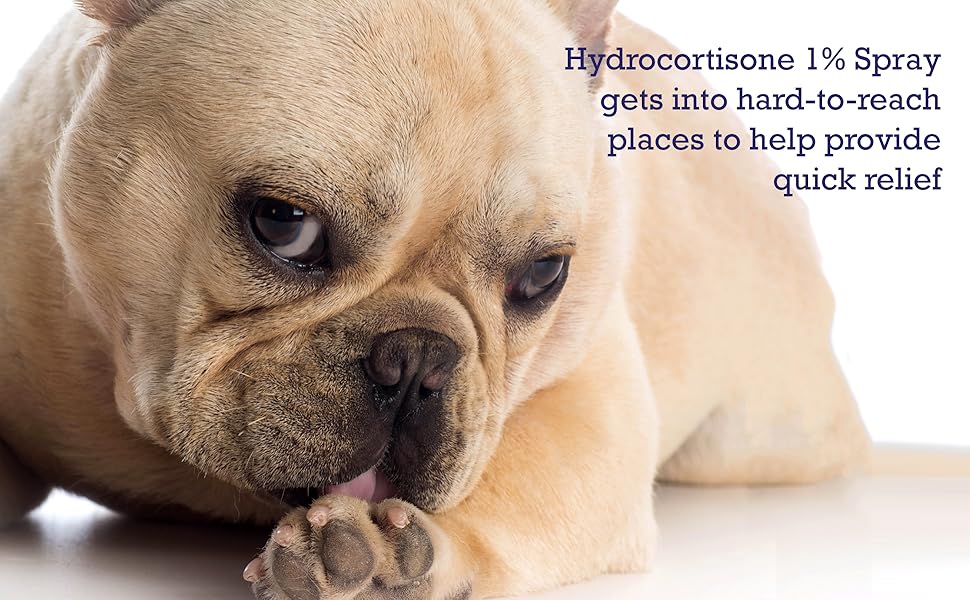 Pet MD Hydrocortisone Spray for Dogs, Cats, Horses - Itch Relief Spray & Hot Spot Treatment for Dogs, Irritated Dry Itchy Skin, Allergies, and Dermatitis - Reduces Topical Inflammation - 4 oz
