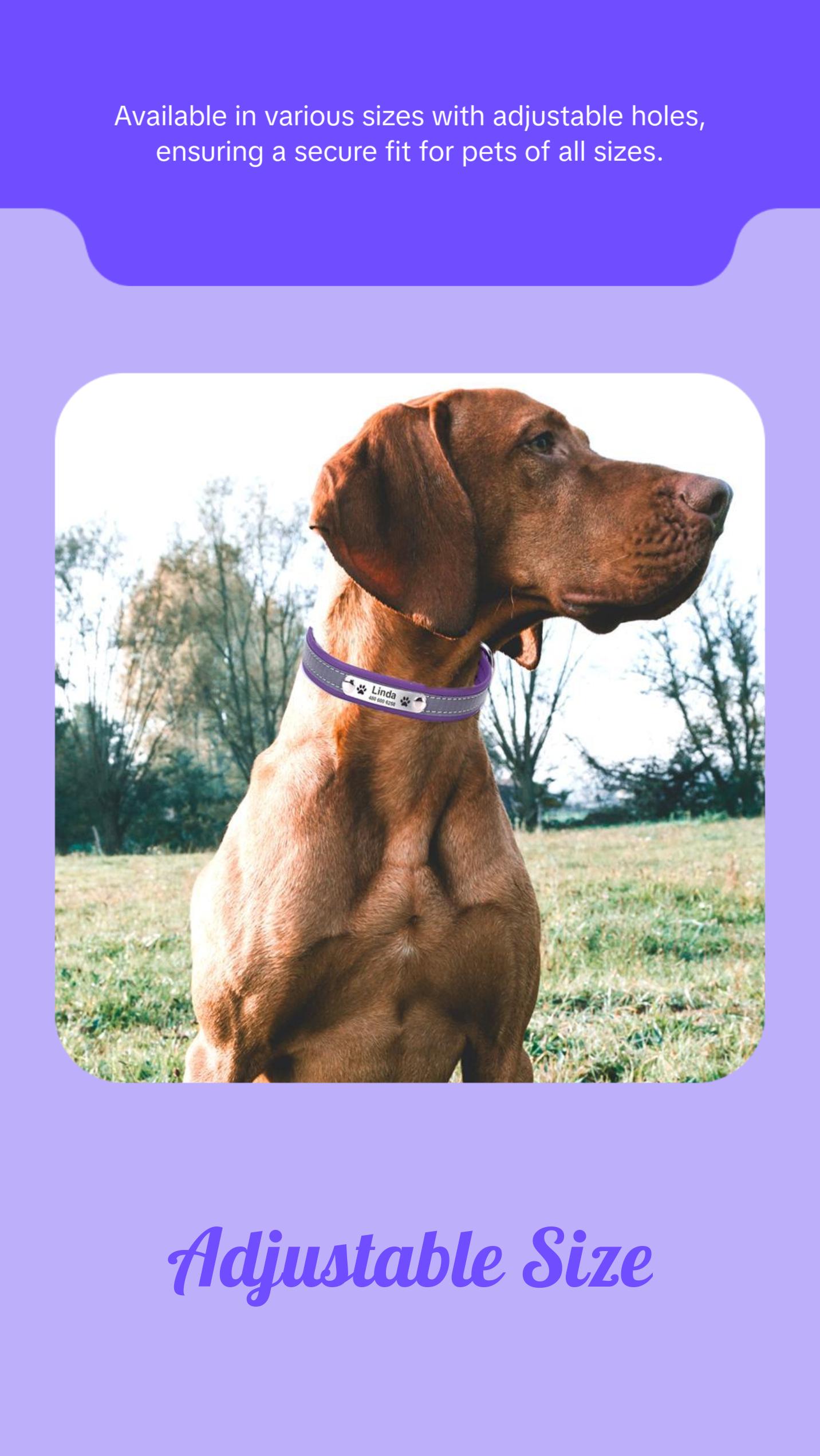 Personalized Dog Collar Leather Reflective Cat Collar Custom Engraved ID Tag Engraved For Puppy Large Dogs  Pet accessories