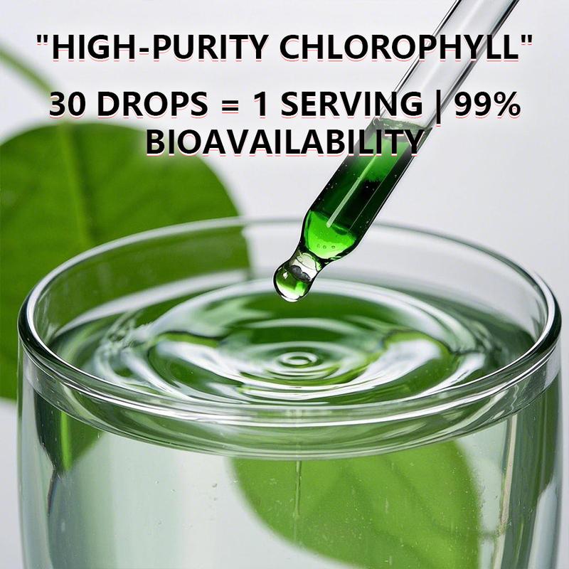 Liquid Chlorophyll Drops - Natural Detox, Body Deodorant, and Gut Health Support for Liver Wellness (4-12 Month Supply)