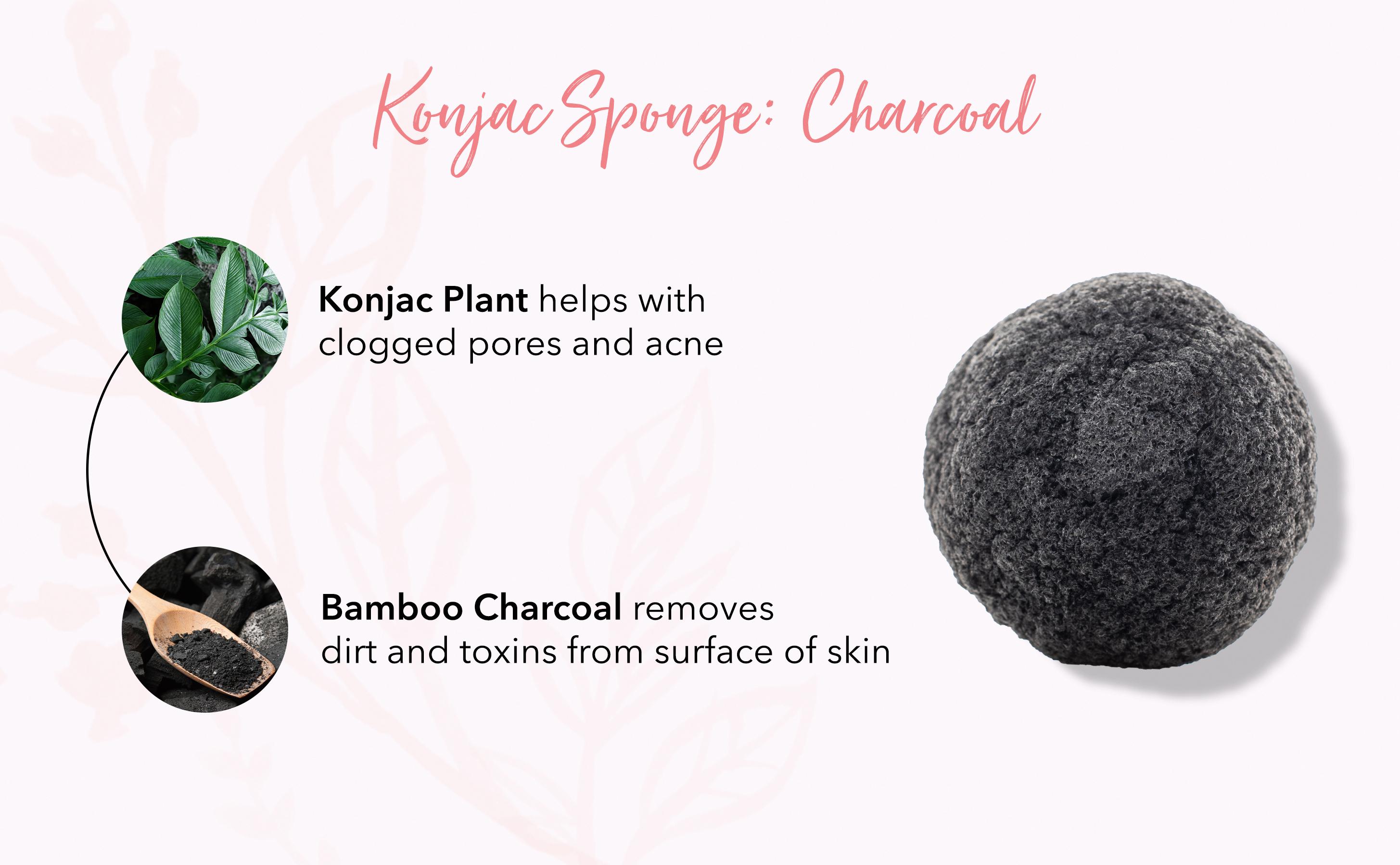 Konjac Sponge: Charcoal